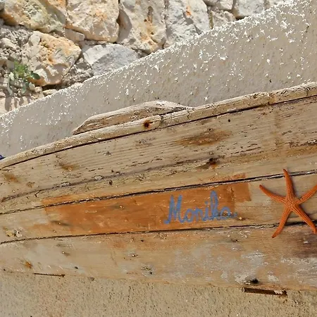 Sea Star *