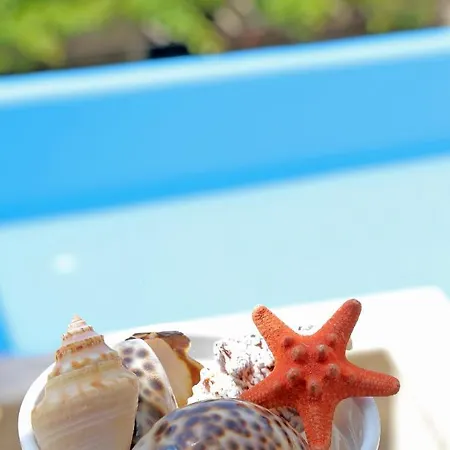 Sea Star Babino Polje